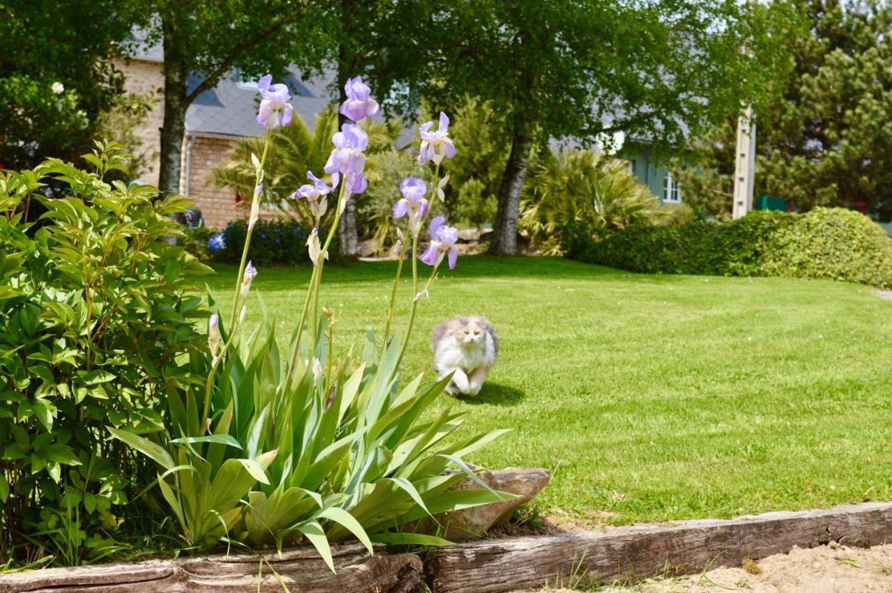 Bed and Breakfast La Pichonniere Isigny-le-Buat Екстер'єр фото